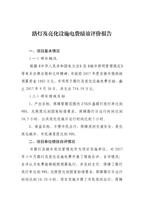 路灯及亮化设施电费绩效评价报告