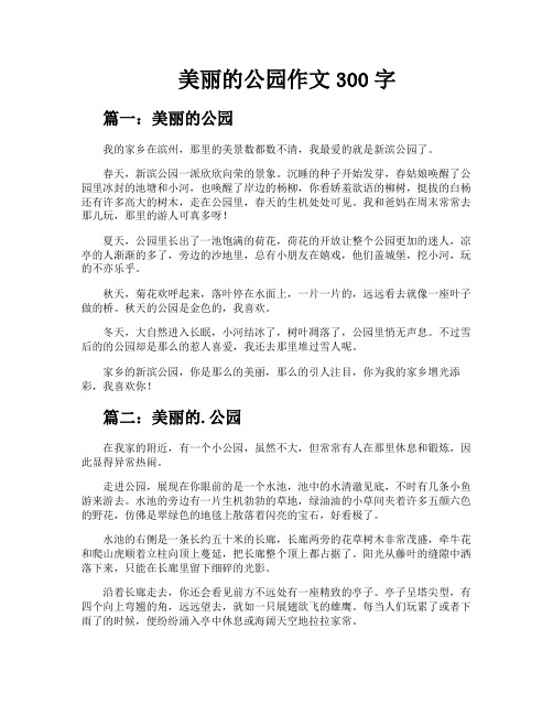 美丽的公园作文300字