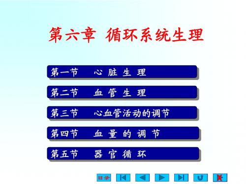 人体解剖生理学 第6章  循环系统生理