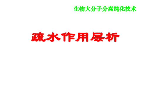 生物大分子分离纯化技术 之疏水作用层析(19页)