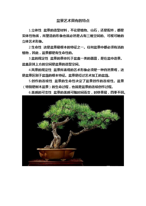 盆景艺术具有的特点