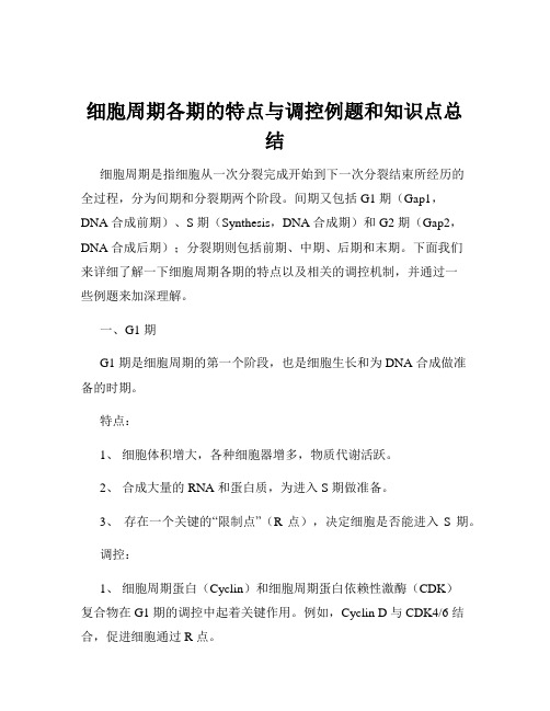 细胞周期各期的特点与调控例题和知识点总结