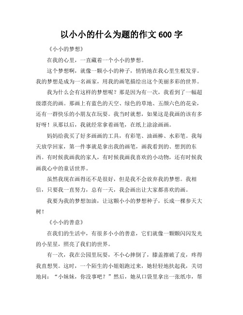 以小小的什么为题的作文600字