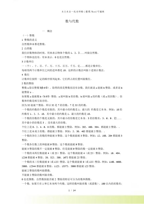 【小升初】数学总复习数与代数