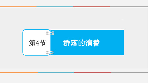 高中生物必修3优质课件20：4.4 群落的演替