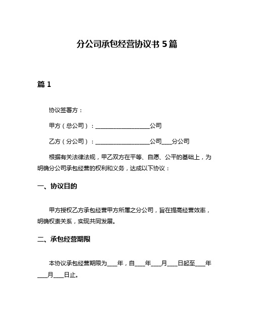 分公司承包经营协议书5篇