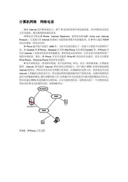 计算机网络  网络电话