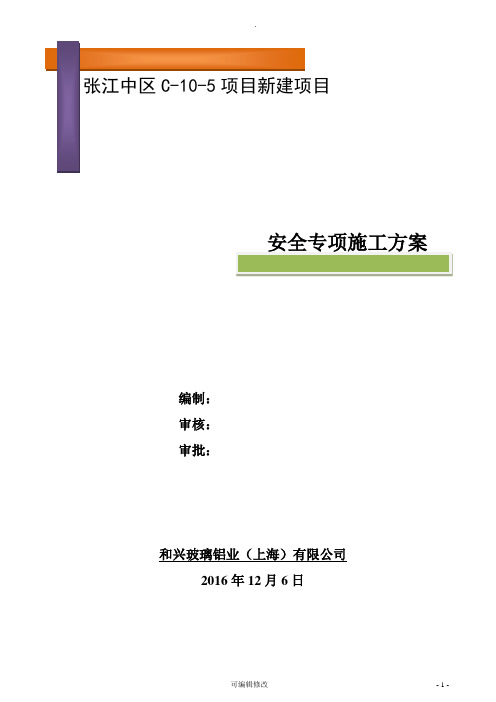 安全专项施工方案