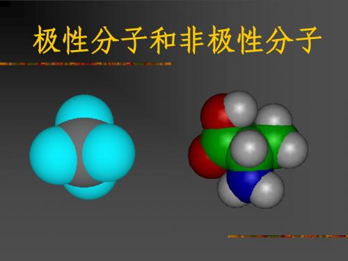 极性分子和非极性分子