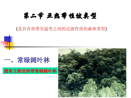 亚热带植被类型PPT课件