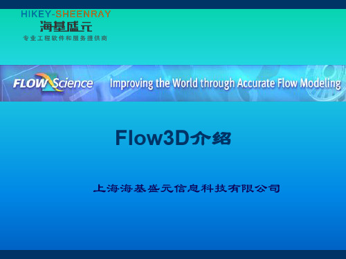 flow-3d应用简介--中文