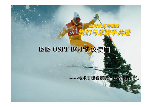 ospf-isis-bgp路由协议培训V2.0