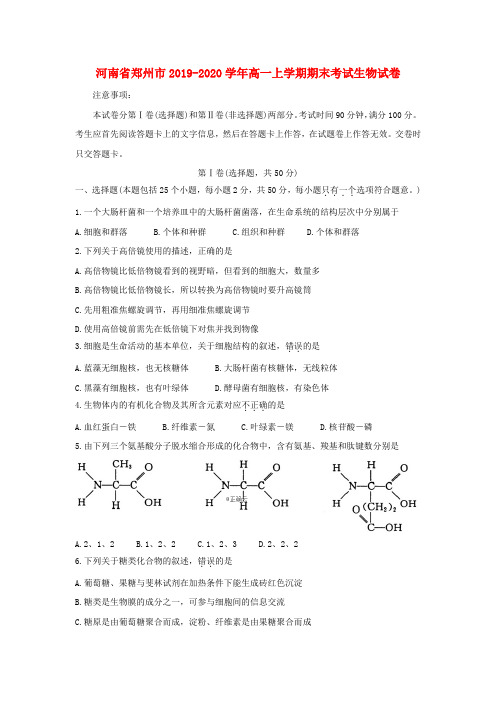 河南省郑州市2019-2020学年高一上学期期末考试生物试卷(含答案)