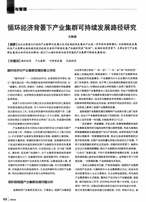 循环经济背景下产业集群可持续发展路径研究