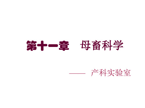 【产科】10.母畜科学