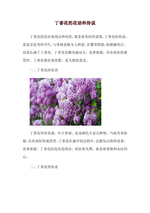 丁香花的花语和传说