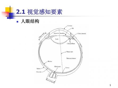 图像信息的基本知识