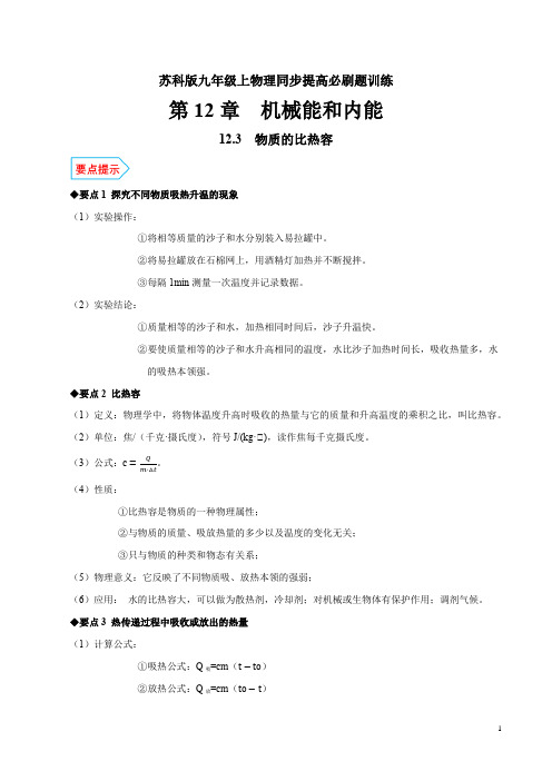 专题12.3 物质的比热容经典题型训练 知识点总结