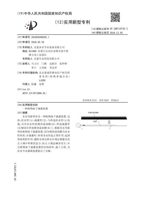 【CN209710702U】一种植物地下滴灌装置【专利】