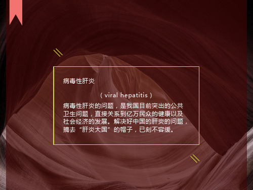 病毒性肝炎(viralhepatitis)