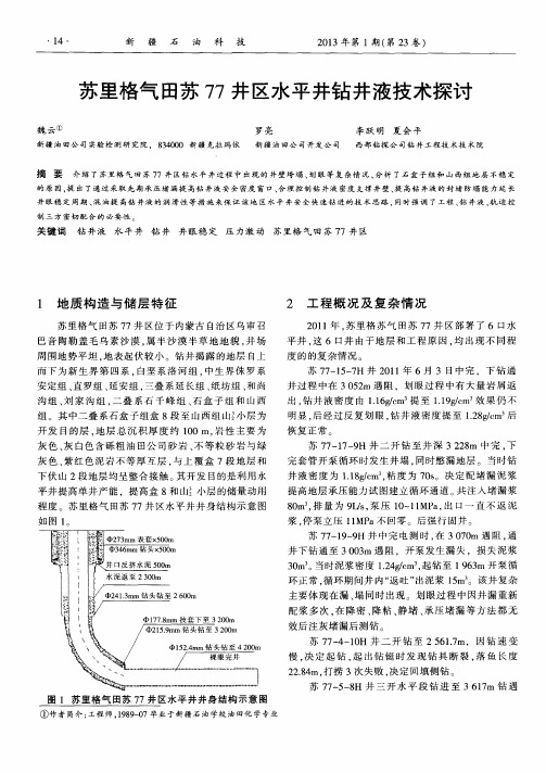 苏里格气田苏77井区水平井钻井液技术探讨