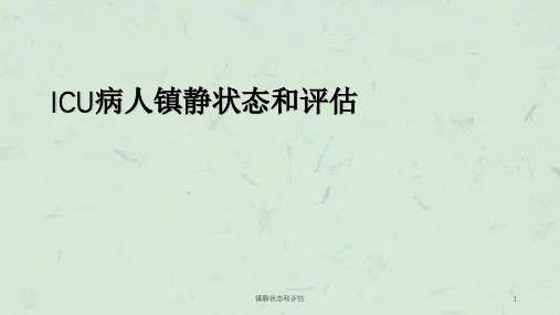 镇静状态和评估课件