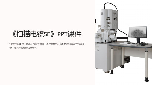 《扫描电镜SE》课件