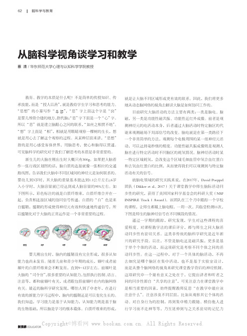 从脑科学视角谈学习和教学