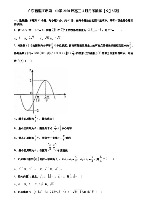 【附加15套高考模拟试卷】广东省湛江市第一中学2020届高三3月月考数学【文】试题含答案
