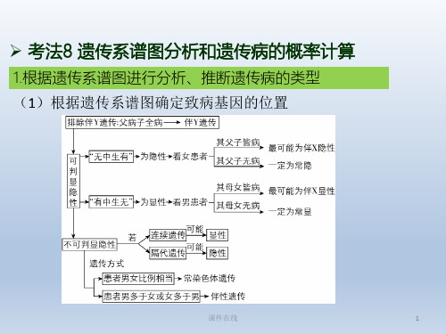 【学习方案】2020高考生物二轮复习第7章遗传的基本规律课件_2_26-30