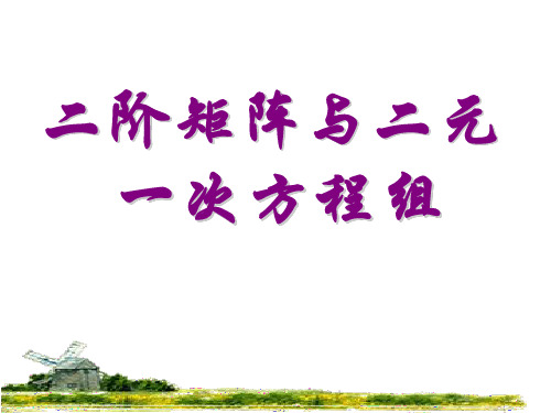 高二数学二阶矩阵和二元一次方程组(2019年8月整理)