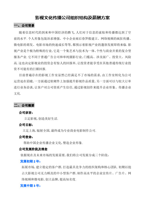 影视文化传播公司组织结构及薪酬方案