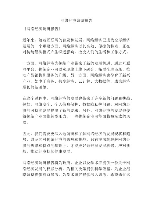 网络经济调研报告