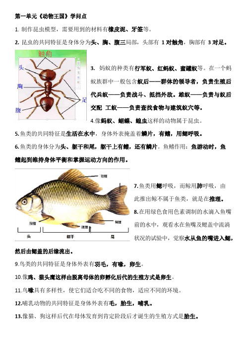 青岛版科学四年级上册知识点