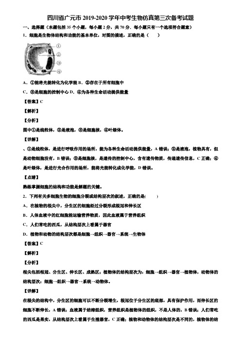 四川省广元市2019-2020学年中考生物仿真第三次备考试题含解析