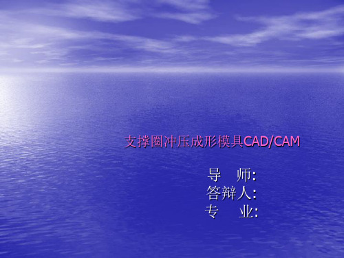 设计答辩-支撑圈冲压模具设计CAD CAM