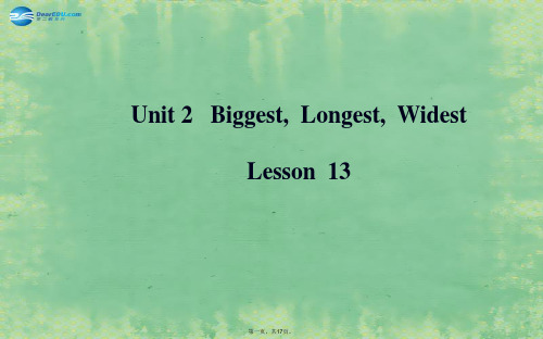 九年级英语上册 Unit 2 Biggest,Longest,Widest Lesson 13课件 