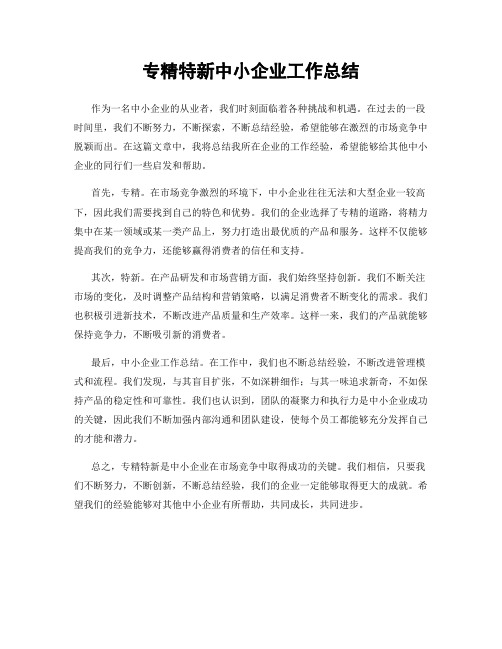 专精特新中小企业工作总结