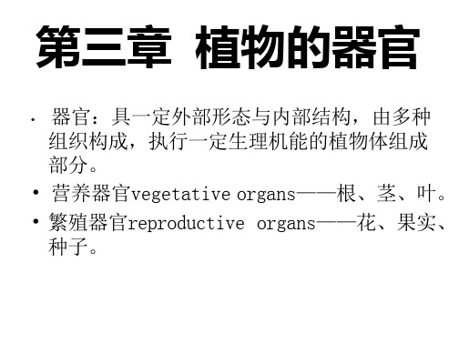 莱职院药用植物学课件03植物的器官-1根