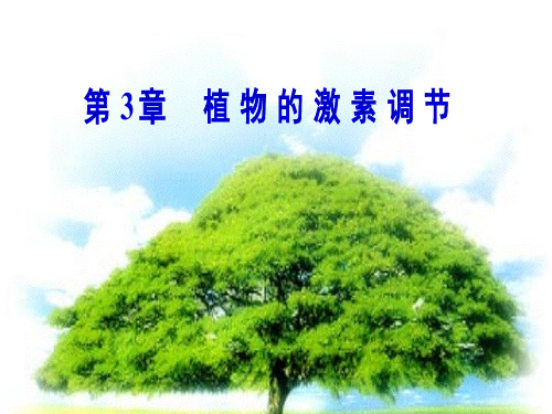 人教版生物必修3第3章第1节 植物生长素的发现