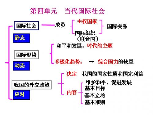 第八课 易错点