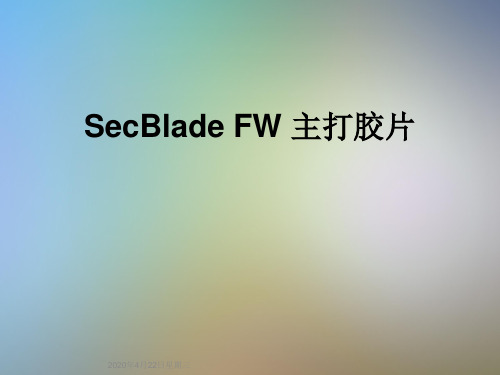 SecBlade FW 主打胶片