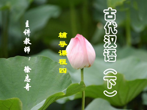 古代汉语(下)04今译的方法.ppt