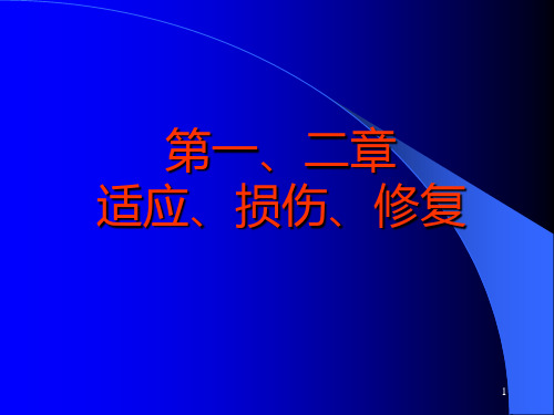 11新编病理学实习指导电镜图片PPT课件