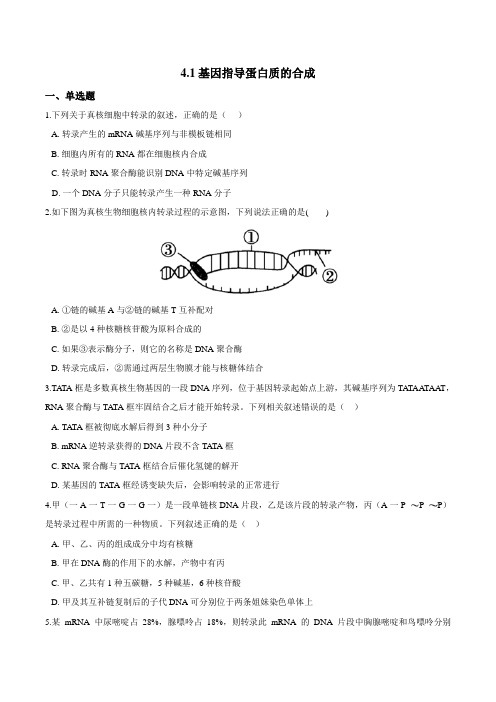 高中生物第二册 4 1基因指导蛋白质的合成同步练习(含解析)