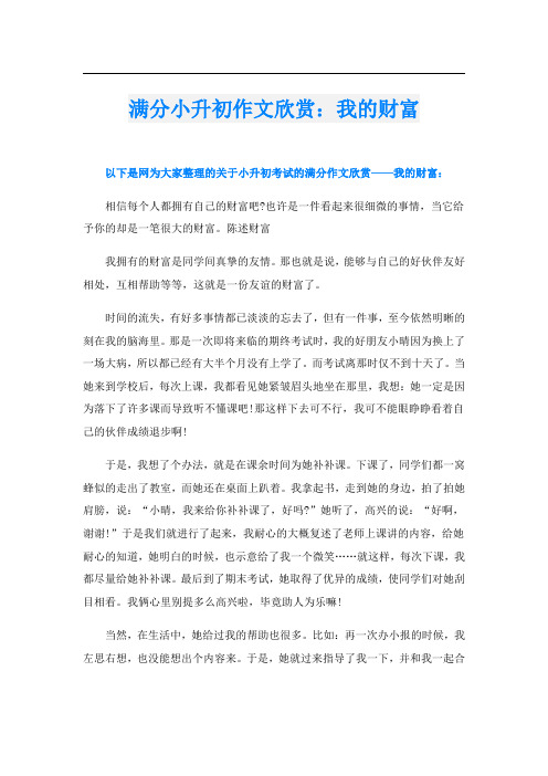 满分小升初作文欣赏：我的财富