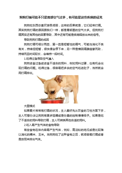 狗狗打嗝可能不只是胃部空气过多，有可能是这些疾病的征兆