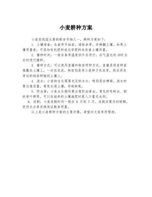 小麦耕种方案