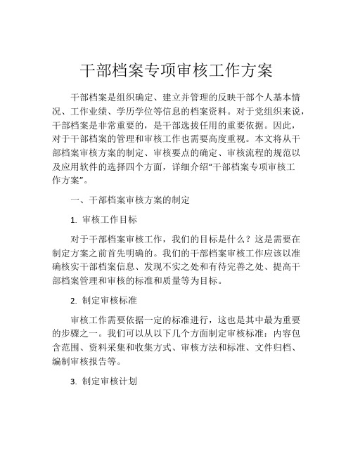 干部档案专项审核工作方案