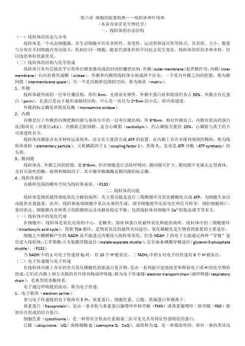 第六章 细胞的能量转换——线粒体和叶绿体